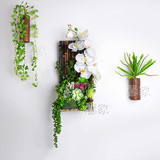 原创定制 仿真多肉植物组合套装假花 壁挂壁饰垂直植物墙紫竹挂饰