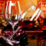 德国Schott肖特高脚杯 红酒杯水晶玻璃进口葡萄酒杯套装 鸿图系列