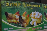 龙门特产农家放养新鲜土鸡初生蛋 礼盒装30枚