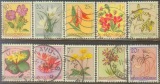 比属刚果早期花卉邮票