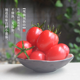 农家自种小番茄新鲜水果千禧圣女果樱桃番茄孕妇水果4斤顺丰包邮