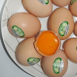 安徽新鲜有机鸡蛋10枚体验装 农家散养土鸡蛋 正宗草鸡蛋柴鸡蛋