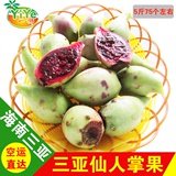 【空运】海南三亚新鲜水果野生仙人掌果 青皮/绿皮仙人掌果 5斤