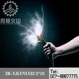 厂家直销铠装2等芯10平方ZR-YJLV/VLV22 2*10铝芯国标电线电缆