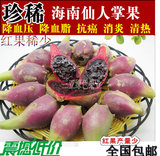 海南三亚 新鲜野生仙人掌果（红果） 促销价 2斤40元 养生极品