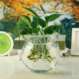 简约现代 透明玻璃花瓶 绿萝花瓶 玻璃花瓶水培 花器家居装饰