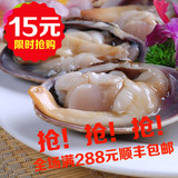 松盛堂 新品 火锅食材天鹅蛋海蛤肉 冷冻 水产海鲜贝类 150g