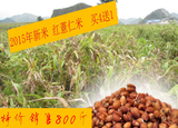 新货贵州兴仁农家自产有机特级小粒红薏仁米薏苡仁 红薏米 买4送1