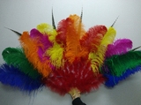 特大号舞台装饰 舞蹈演出羽毛扇子 彩色加密鸵鸟羽毛扇子 工艺扇