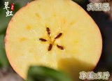 【翠虹】晚采冰糖心苹果阿克苏甜脆多汁新鲜85mm糖心苹果大型水果