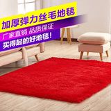 边毯门垫可定做特价丝毛地毯客厅茶几飘窗卧室床边地毯加厚弹力床