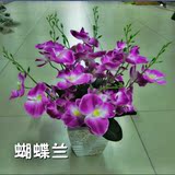 花套装绢花蝴蝶兰紫色仿真盆景假花绿植家具摆放餐桌用花