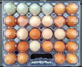 28枚提手大号鸡蛋托蛋盒光皮蛋咸蛋洋鸡蛋托盘塑料吸塑包装盒47