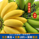 海南皇帝蕉小米蕉帝王蕉热带新鲜水果胜红皮红色菲律宾香蕉3斤装