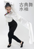 专业功服藏族舞蹈演出服装民族古典舞蹈加长加宽练习水袖戏曲京剧