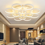 热卖个性创意圆环型LED客厅吸顶灯铝材卧室灯美观大气餐厅灯