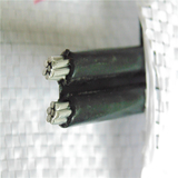 2×10平方铝线电线100米 室外防老化双芯铝电缆线 黑色进户线国标