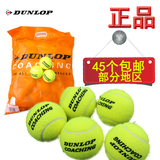 邓禄普Dunlop Coaching训练网球/教练网球弹性好耐打无压网球