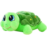 小海龟公仔乌龟毛绒玩具彩色大眼龟玩偶五星龟布娃娃乌龟宝宝玩具