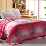 金贝壳金貂绒毯1.5米1.8*2米*2.3米旅行沙发毯冬天床单空调毯特价