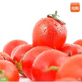 圣女果/小番茄/小西红柿500g 新鲜水果同城上门