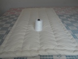 新棉花0.8*2米垫被 大学生宿舍被褥 棉絮床褥子开学季厚垫被 垫子