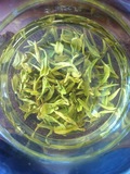 日照绿茶 正宗天然有机新茶叶 农家自产自销浓香耐泡特价包邮500g