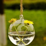 悬挂空心玻璃球 水培花瓶玻璃吊瓶水培植物 养鱼创意家居饰品挂饰