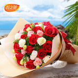 新品33朵红玫瑰花束北京武汉成都同城鲜花速递上海花店圣诞节送花