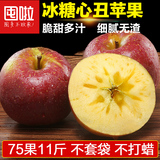 云南昭通冰糖心苹果约11斤野生丑苹果脆甜吃的新鲜水果现摘现发