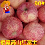 现货烟台栖霞红富士苹果水果新鲜90# 自产包邮10斤平安果