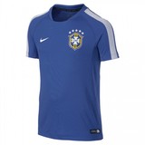 现货正品 NIKE 巴西 2014世界杯 精英 球员版 短袖训练服 蓝色