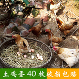 当天纯天然土鸡蛋农家散养农村自养新鲜有机草鸡蛋 笨鸡蛋40枚