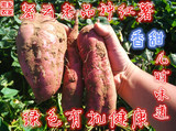 密云15年新鲜红薯 沙地红薯 地瓜 白薯 番薯 老品种绿色有机食品