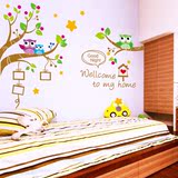 纸壁纸枝头上的猫头鹰相框贴墙贴卡通儿童房幼儿园卧室床头装饰贴