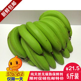 新鲜 香蕉香蕉 水果香蕉 水果banana香蕉批发高州香蕉芭蕉香蕉