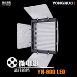 永诺 YN-600 II 可调色温LED摄影灯 微电影摄像人像常亮补光灯