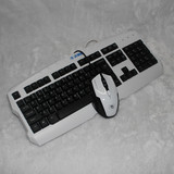 网吧专用键盘鼠标套装 太攀蛇白色游戏有线键鼠套装 英雄联盟键鼠