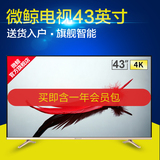 whaley/微鲸 WTV43K1 43英寸4K 超高清智能电视机 led液晶平板 42