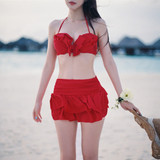 韩国代购温泉bikini小胸聚拢钢托比基尼三件套分体裙式游泳衣女