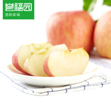 【誉福园】新鲜水果烟台栖霞红富士苹果5斤 不打腊带皮吃