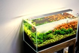 LOZ乐栽专业水草LED灯架 水草专用水族箱 鱼缸超亮照明灯具