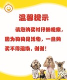 宠物店宣传海报养狗常识画报可爱狗狗萌犬名猫宠物店温馨提示8