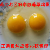 苏北农家散养新鲜草鸡蛋30枚 土鸡蛋 宝宝辅食柴鸡蛋每天限量6件