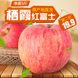 朕 水果 山东烟台苹果水果 新鲜栖霞红富士苹果脆甜5斤 大果包邮