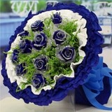 特价蓝色妖姬11朵19朵33朵杭州鲜花礼盒玫瑰花束预定生日纪念