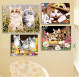 正品特价包邮diy数字油画动物客厅手绘装饰画 小狗狗金毛小猫猫咪