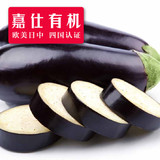 嘉仕有机紫茄圆茄子250g时令新鲜蔬菜特产生鲜农产品农场现摘配送