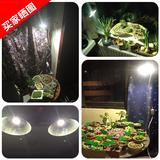 植物补光灯照明 多肉植物补光灯昊林全光谱LED植物生长灯泡 室内
