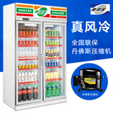雅绅宝 SA10L2F超市饮料柜双门立式冷柜冰柜商用冰箱展示柜冷藏柜